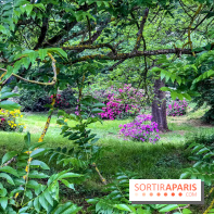 L'Arboretum de Versailles - Chevreloup