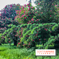 L'Arboretum de Versailles - Chevreloup