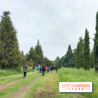 L'Arboretum de Versailles - Chevreloup