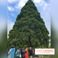 L'Arboretum de Versailles - Chevreloup