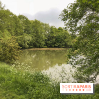 L'Arboretum de Versailles - Chevreloup