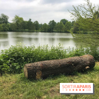 L'Arboretum de Versailles - Chevreloup