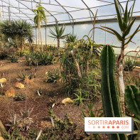 L'Arboretum de Versailles - Chevreloup