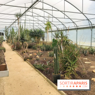 L'Arboretum de Versailles - Chevreloup