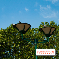 Fête de la Nature 2018 : les oiseaux de Paris