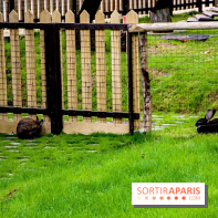 Le Jardin d'Acclimatation dévoile son nouveau visage et ses attractions, les photos