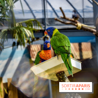 Le Jardin d'Acclimatation dévoile son nouveau visage et ses attractions, les photos