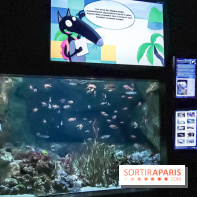 Loup préserve les océans à l'Aquarium de Paris, les photos