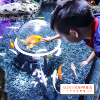 Loup préserve les océans à l'Aquarium de Paris, les photos