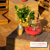 Ma Terrazza, édition 2018, squatte le Petit Bain à Paris