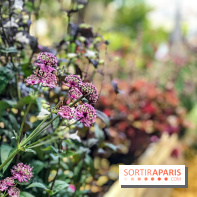 Jardins Jardin 2018, les photos