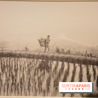 Terres de riz, l'exposition au musée Guimet