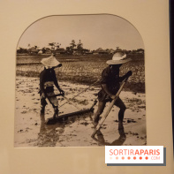 Terres de riz, l'exposition au musée Guimet