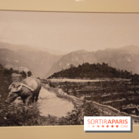 Terres de riz, l'exposition au musée Guimet