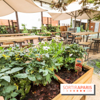 Les Belles Plantes restaurant-café