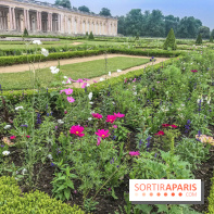 Jean Cotelle, l'exposition au Grand Trianon de Versailles