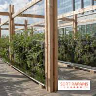 Sous les Fraises & So Ouest inaugurent la première ferme maraichère urbaine à Levallois-Perret : les photos