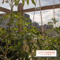 Sous les Fraises & So Ouest inaugurent la première ferme maraichère urbaine à Levallois-Perret : les photos