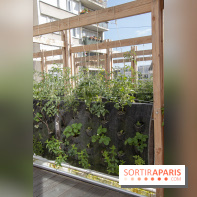 Sous les Fraises & So Ouest inaugurent la première ferme maraichère urbaine à Levallois-Perret : les photos