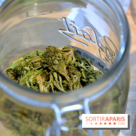 Le Lab du bonheur à Paris, un Coffee Shop CBD bien-être 