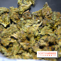 Le Lab du bonheur à Paris, un Coffee Shop CBD bien-être 