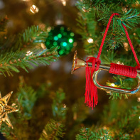 Comment choisir son sapin de Noël ? 
