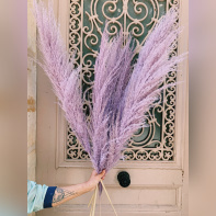 Saint-Valentin 2021 : le top des fleurs séchées