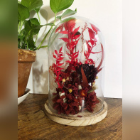 Saint-Valentin 2021 : le top des fleurs séchées