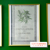 BlueDreamLab le spécialiste de la vente de cannabis CBD