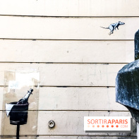 Banksy à Paris, les œuvres en photos