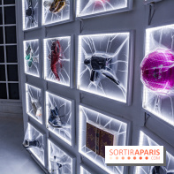 La Villa Extraordinaire, les photos 