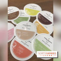 Les glaces Dalloyau by Geronimi