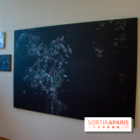 FUKAMI, l'exposition à l'hôtel Salomon de Rothschield