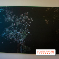 FUKAMI, l'exposition à l'hôtel Salomon de Rothschield