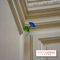 FUKAMI, l'exposition à l'hôtel Salomon de Rothschield