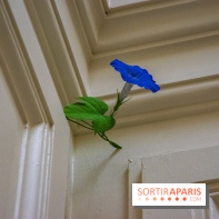 FUKAMI, l'exposition à l'hôtel Salomon de Rothschield