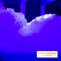 FUKAMI, l'exposition à l'hôtel Salomon de Rothschield