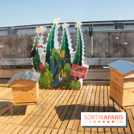 DOMUS se lance dans la production de miel