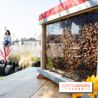 DOMUS se lance dans la production de miel