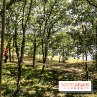 AccroCamp, l'accrobranche des Boucles de Seine