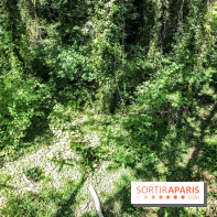 AccroCamp, l'accrobranche des Boucles de Seine