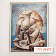 Les chefs d'œuvre de Picasso au Musée Picasso, photos