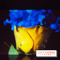 Colours X Colours, l'installation immersive à l'Atelier des Lumières