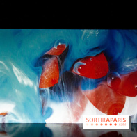 Colours X Colours, l'installation immersive à l'Atelier des Lumières