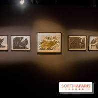 Art Brut Japonais II, l'exposition à la Halle Saint-Pierre