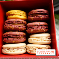 Bûche de Noël 2018 pour Ladurée