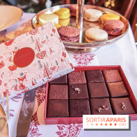 Bûche de Noël 2018 pour Ladurée