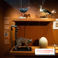 Exposition Madagascar au musée du Quai Branly 