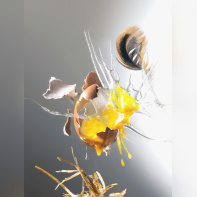 Philippe Exbrayat- Festival International de la Photographie Culinaire 2012