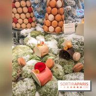 Pierre Hermé : Bûches, galette et créations de Noël 2018